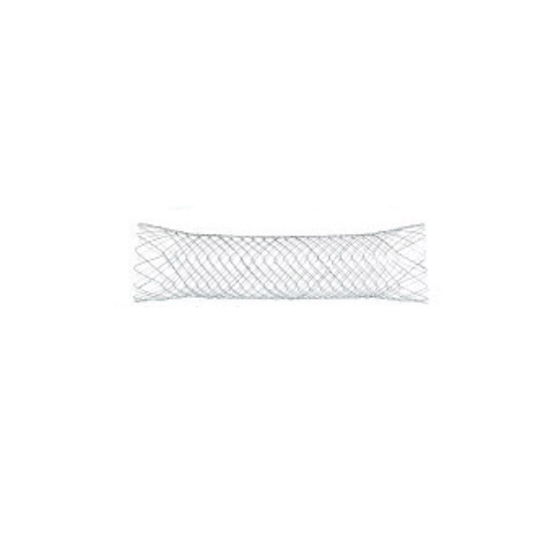 Pyloric Stent / Duodenal Stent